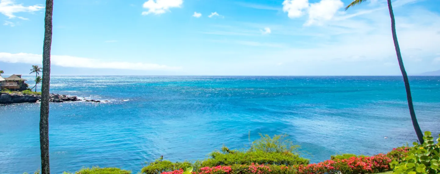 Laid-Back Coastal Charm