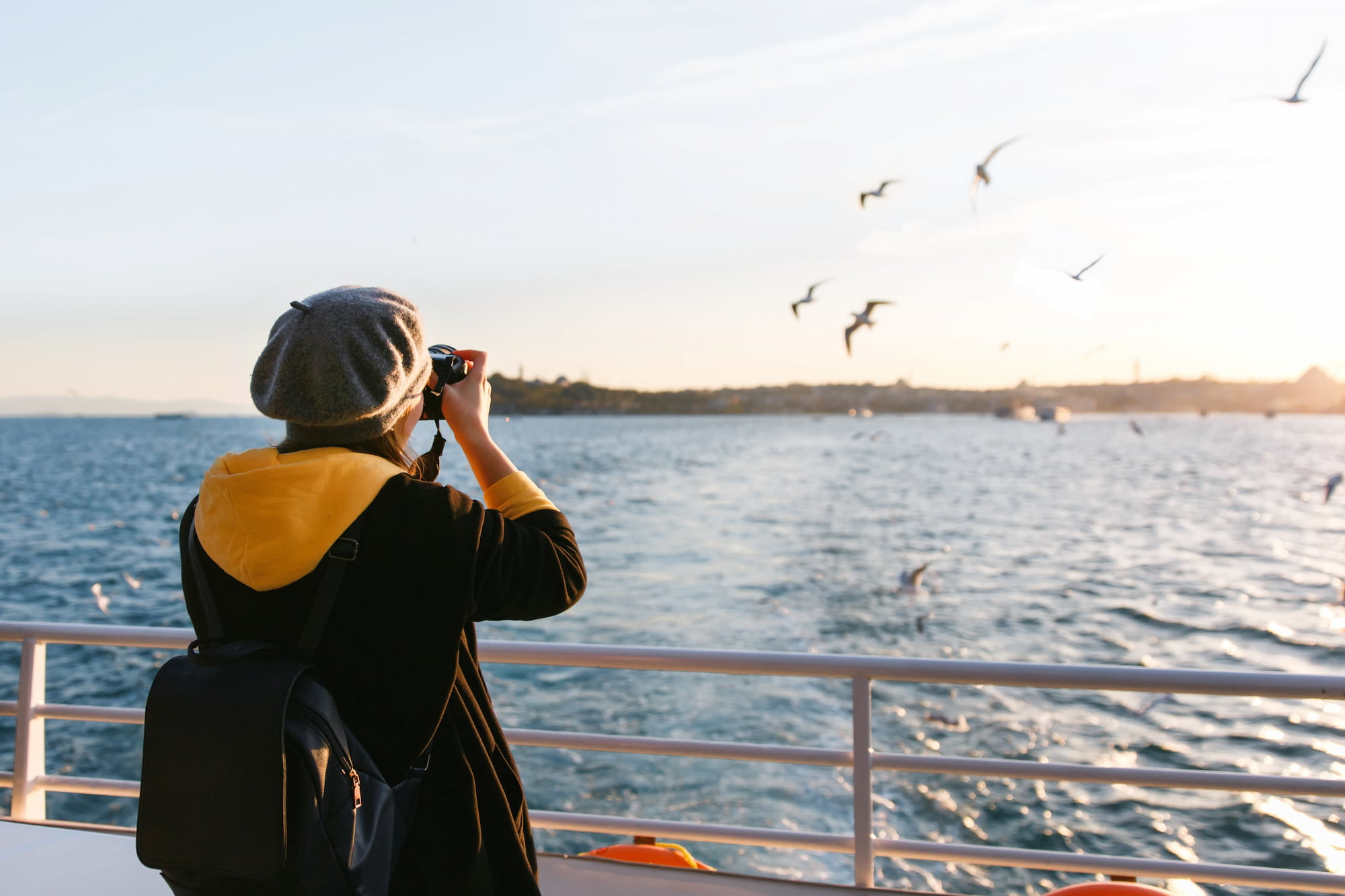 Whale watching
